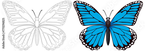 Two butterflies, one outlined and one vibrantly colored.