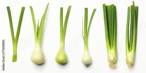 A row of green onions are shown in various stages of growth. The first onion is small and the last is large