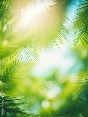A lush green palm tree with leaves that are spread out and reaching for the sun. The image has a bright and cheerful mood, with the sun shining through the leaves and creating a sense of warmth