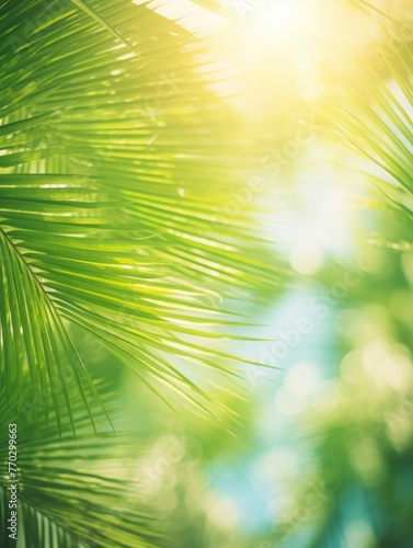 A leafy green palm tree with a bright sun shining through the leaves. The sun is casting a warm glow on the tree, making it look inviting and peaceful © vefimov