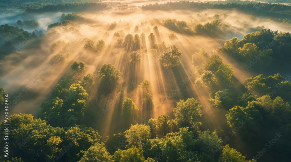 Aerial view of sunrays piercing through the mist above a lush green forest.