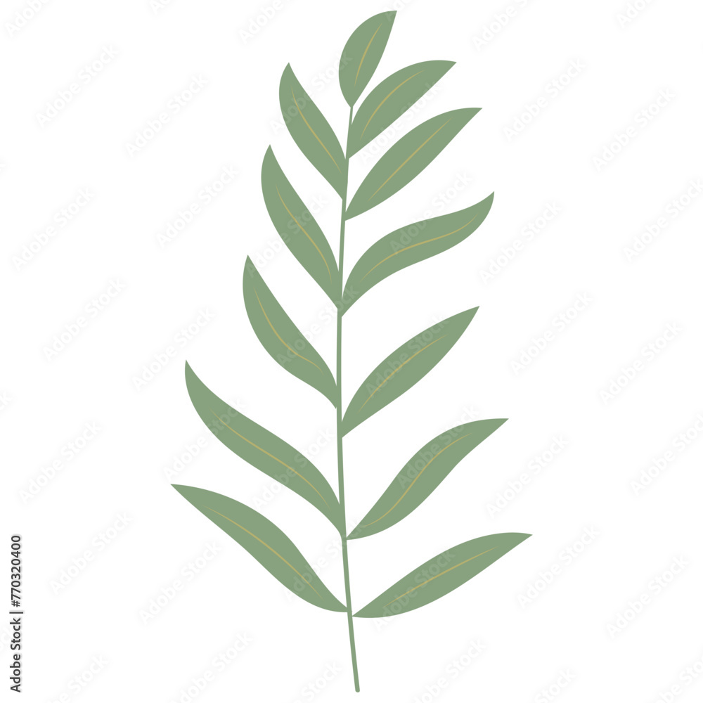 Fototapeta premium Aesthetic Leaf Element