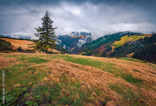 Dramatic spring scene of Carpathian mountains with fir tree om the valley. Picturesque morning view of  mountain pasture in April, Ukraine, Europe. Beauty of nature concept background. © Andrew Mayovskyy