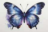 Watercolor Blue Butterfly