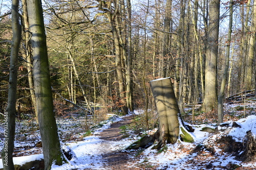 Landscape in Winter in the Valley of the River Fulde in the Town Walsrode, Lower Saxony photo