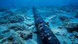 An underwater cable for high-speed internet lies on the ocean floor, symbolizing connectivity and digital infrastructure