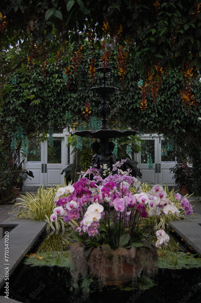 Obraz premium Flowers in a beautiful garden