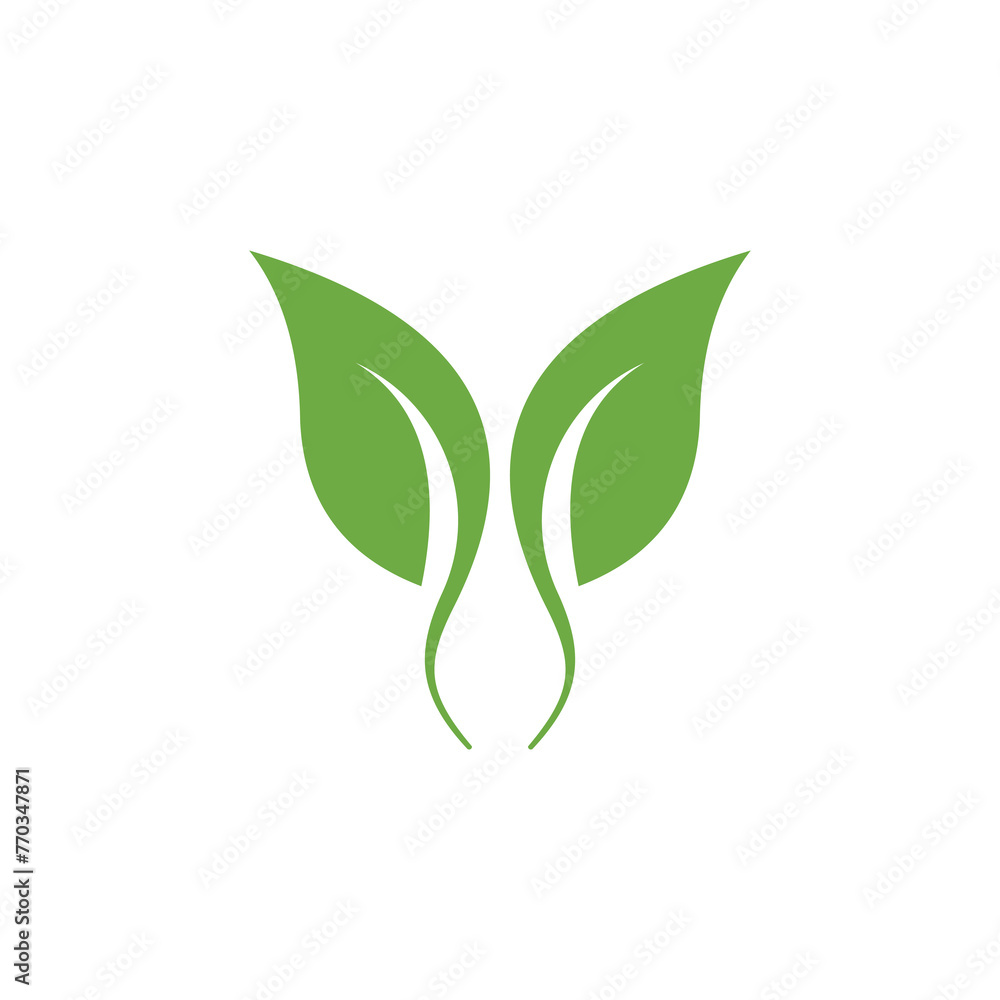 Green leaves Green leaves