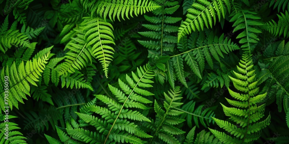 beautiful delicate green fern leaves background