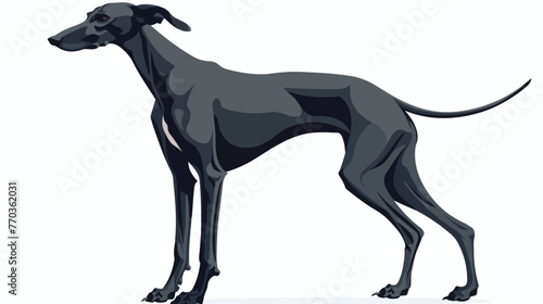 Greyhound dog - isolated vector illustration greyhound