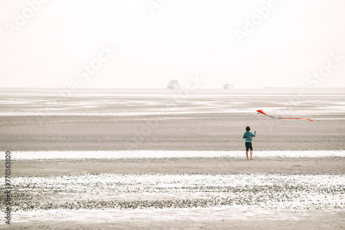 Flying kites on the seashore.Sea recreation and vacation.People fly a kite on the seashore on a cloudy day.Frisian Islands.Fer Island.Germany.