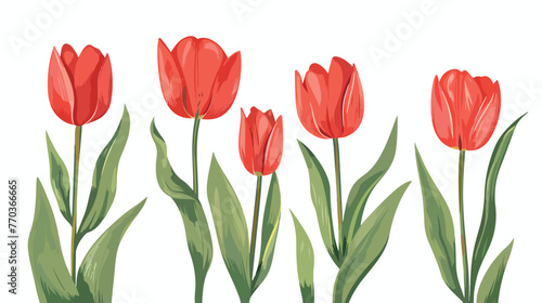 illustration hand drawn red tulip flat vector 