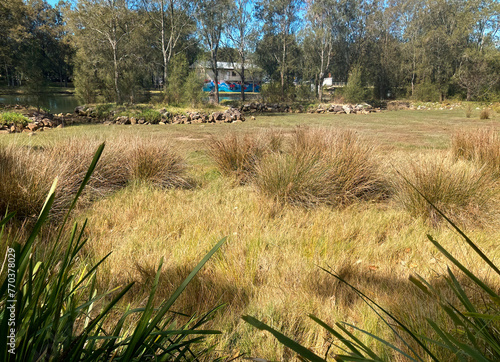Salt marsh on the Cooks river, Tempe