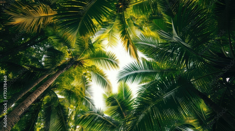 tropical palm leaf background, coconut palm trees perspective view tropical palm leaf background, coconut palm trees perspective view