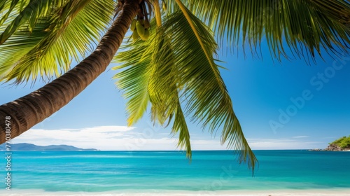 Tropical beach background with palm tree and azure sea 