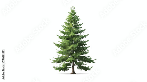 Pine Tree Isolated on white background flat vector 