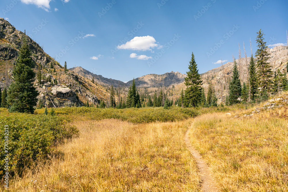 Hiking trail in the Mount Zirkel Wilderness, Colorado Hiking trail in the Mount Zirkel Wilderness, Colorado