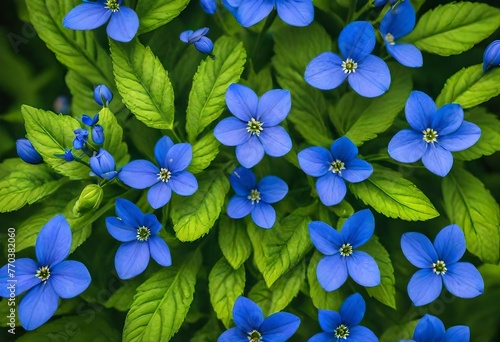 A cluster of blue flowers with green leaves showcasing a vibrant and natural composition