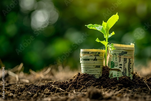 Green plant growing from dollar banknotes on soil with green bokeh background photo