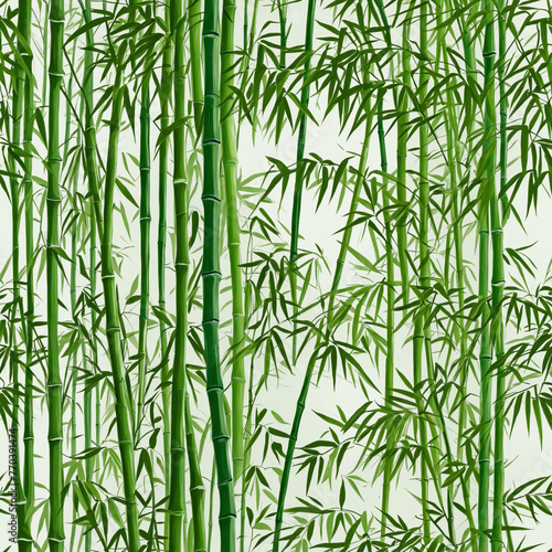 bamboo isolated on on transparent background colorful background © Fukurou