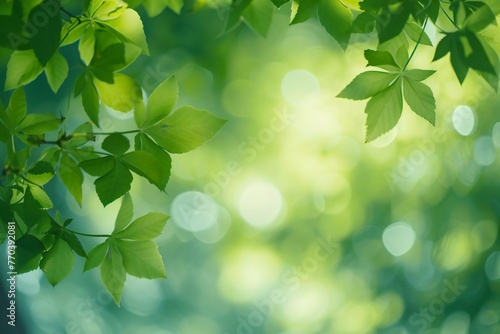Green leaves background in sunny day with bokeh and copy space