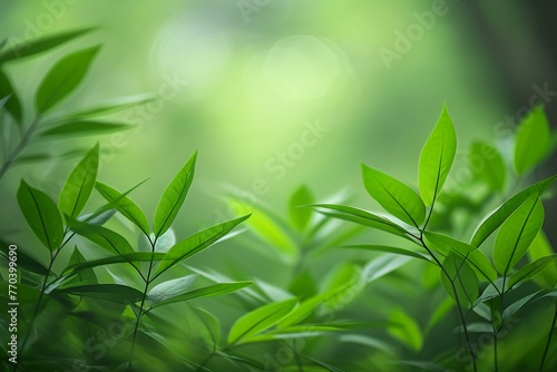 Close up of green leaf on blurred greenery background with copy space