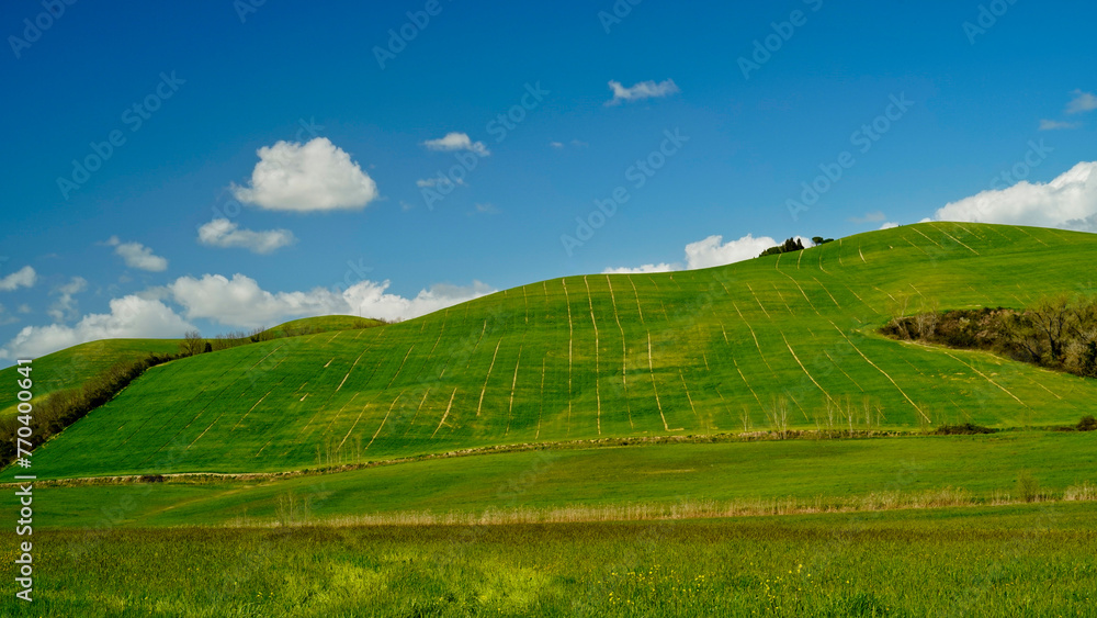 Panorama collinare della Val d'Orcia lungo il percorso ciclistico dell'Eroica. Provincia di Siena. Toscana , Italia Panorama collinare della Val d'Orcia lungo il percorso ciclistico dell'Eroica. Provincia di Siena. Toscana , Italia