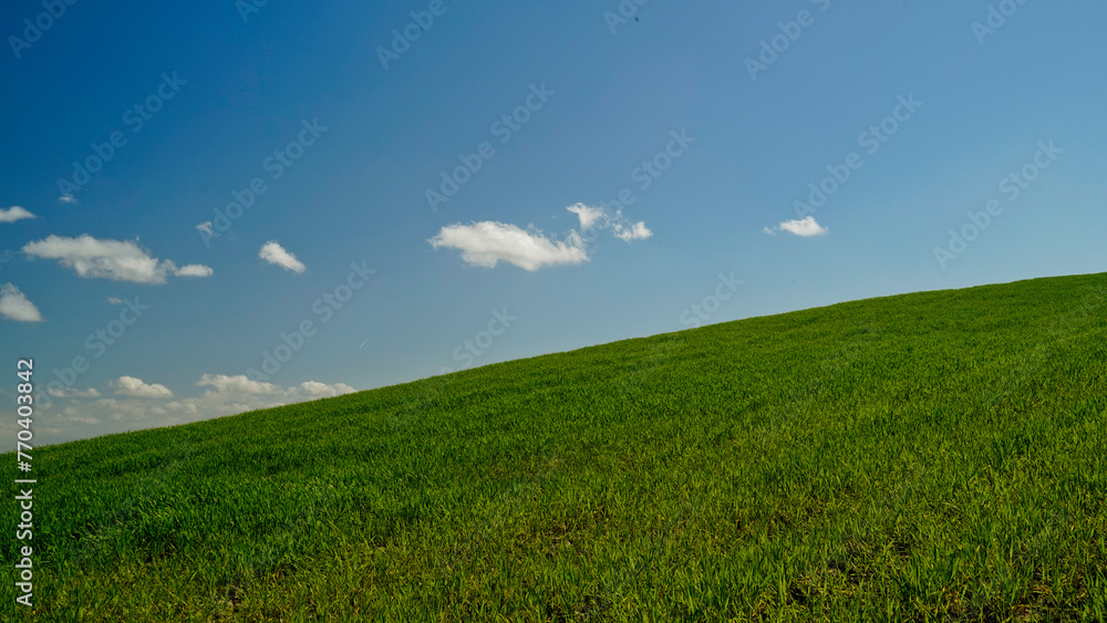 Obraz premium Panorama collinare della Val d'Orcia lungo il percorso ciclistico dell'Eroica. Provincia di Siena. Toscana , Italia