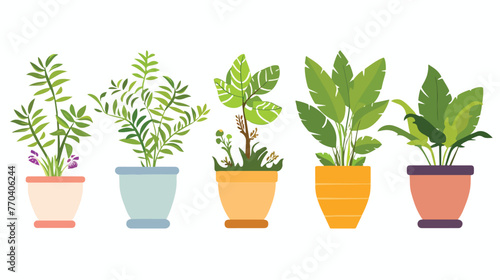Vector design of plants in pots Flat vector isolated