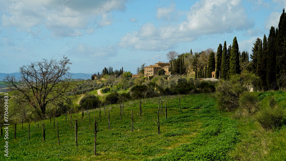 Panorama collinare della Val d'Orcia lungo il percorso ciclistico dell'Eroica. Provincia di Siena. Toscana , Italia Panorama collinare della Val d'Orcia lungo il percorso ciclistico dell'Eroica. Provincia di Siena. Toscana , Italia