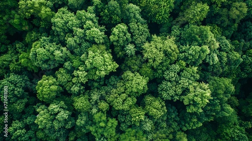 Protecting Earth: Aerial View of Lush Green Forest