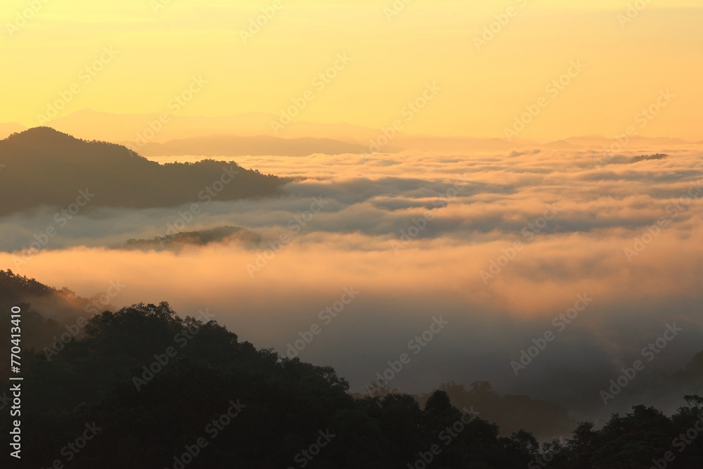 Morning mist in the middle of the western forest of Thailand
