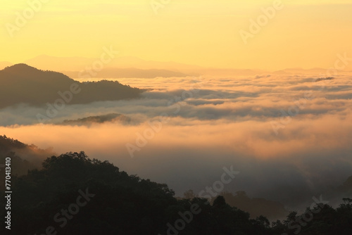 Morning mist in the middle of the western forest of Thailand  © Sanpatch Chindathong