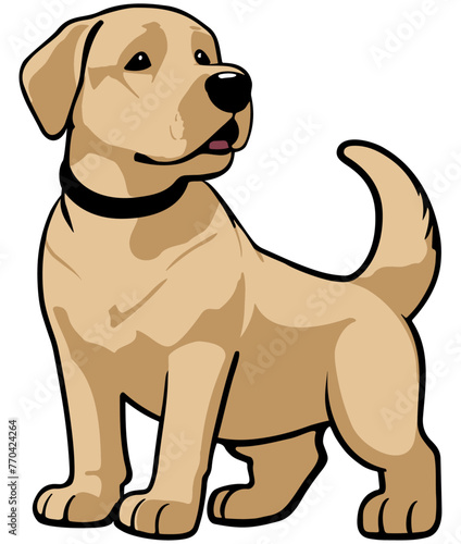 Labrador retriever cartoon illustration