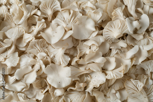 A stunning top view of beautiful white oyster mushrooms creates a captivating mushroom background texture.
