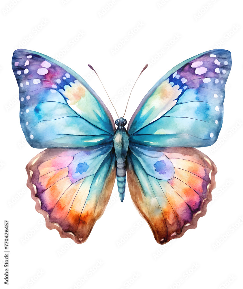 watercolor butterfly clipart watercolor butterfly clipart