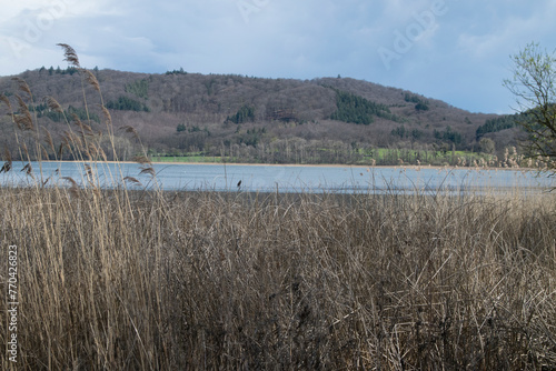 Landschaft bei Maria Laach mit Laacher See photo