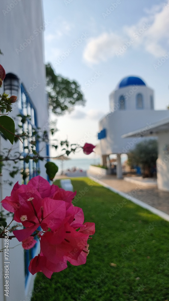 A white building with a blue roof stands gracefully in the background, while a delicate pink flower blooms beautifully in the foreground