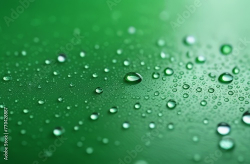 water drops on green leaf © Leshtana