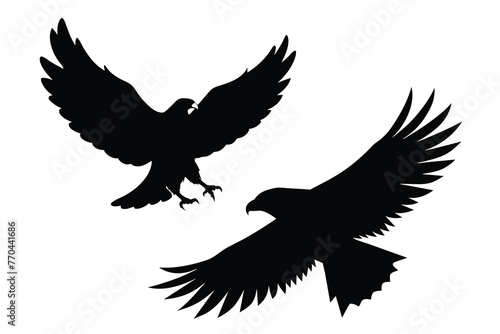 Eagle silhouette  flying bird silhouette on white background