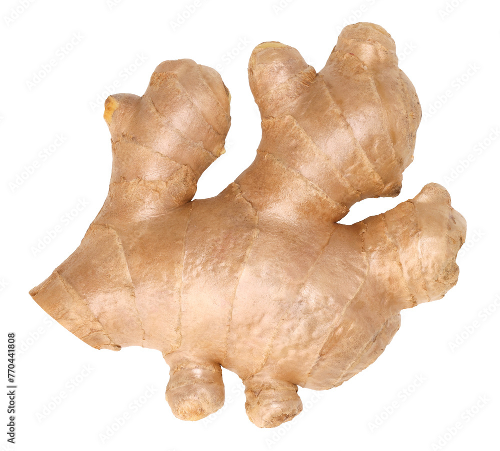 Close-up, Fresh ginger rhizome isolated, transparent PNG, PNG format Close-up, Fresh ginger rhizome isolated, transparent PNG, PNG format