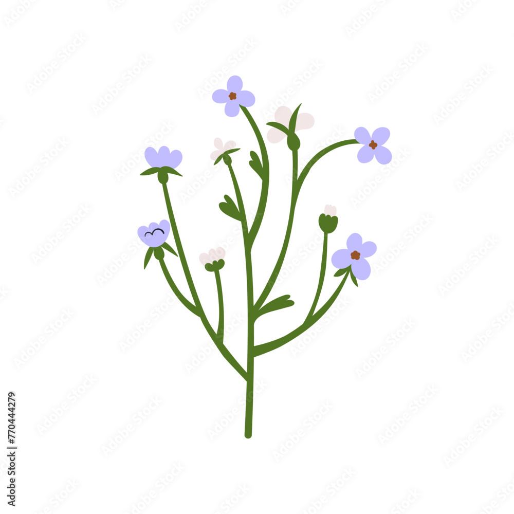 Forget-me-nots flower branch. Spring field floral plant. Delicate gentle wildflowers. Meadow bloom, blossomed myosotis stem. Botanical flat graphic vector illustration isolated on white background