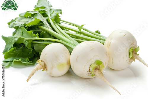 Turnip fresh on white background.