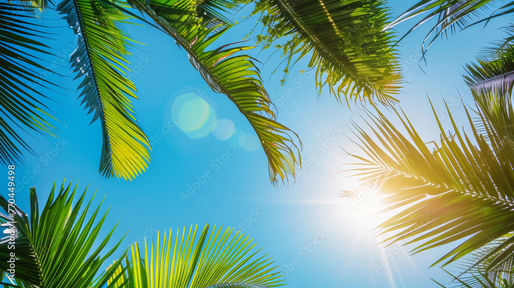 Serenity in Nature, Silhouetted Palm Leaves under Azure Skies