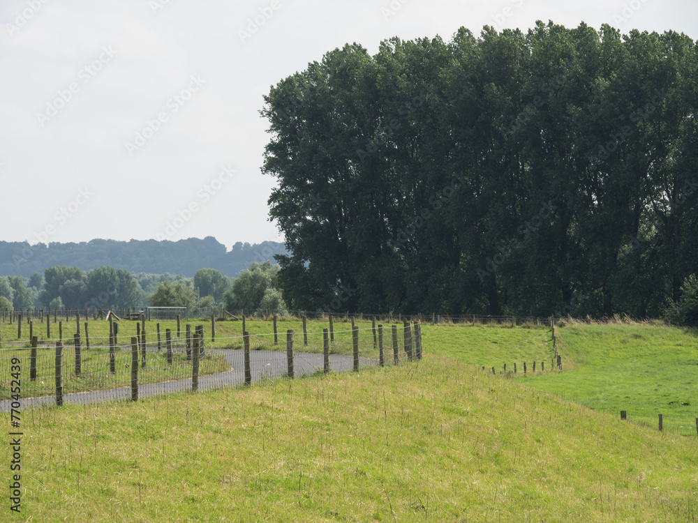 Fototapeta premium Sommerzeit am Rheindeich bei Bislich