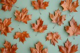 brown maple leaves on green backgroun