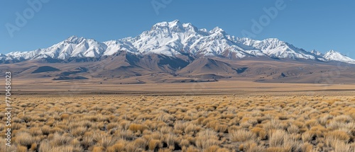   Mountains in distance  grass in foreground  blue sky in background