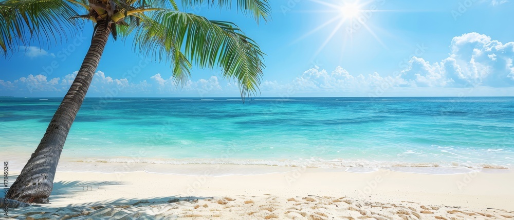   A palm tree on a beach with the sun shining over the ocean and a sailboat in the water in the background