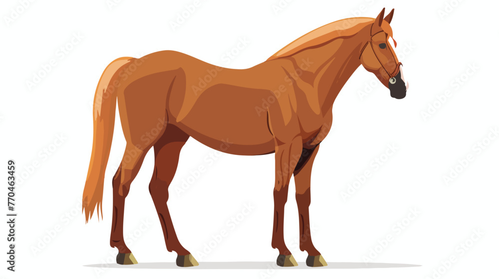 Cartoon brown horse isolated on white background flat