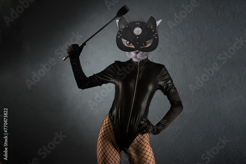 Contemporary art collage. Beautiful dominant mistress in latex body, gloves and cat head with leather fetish cat mask posing with riding crop photo